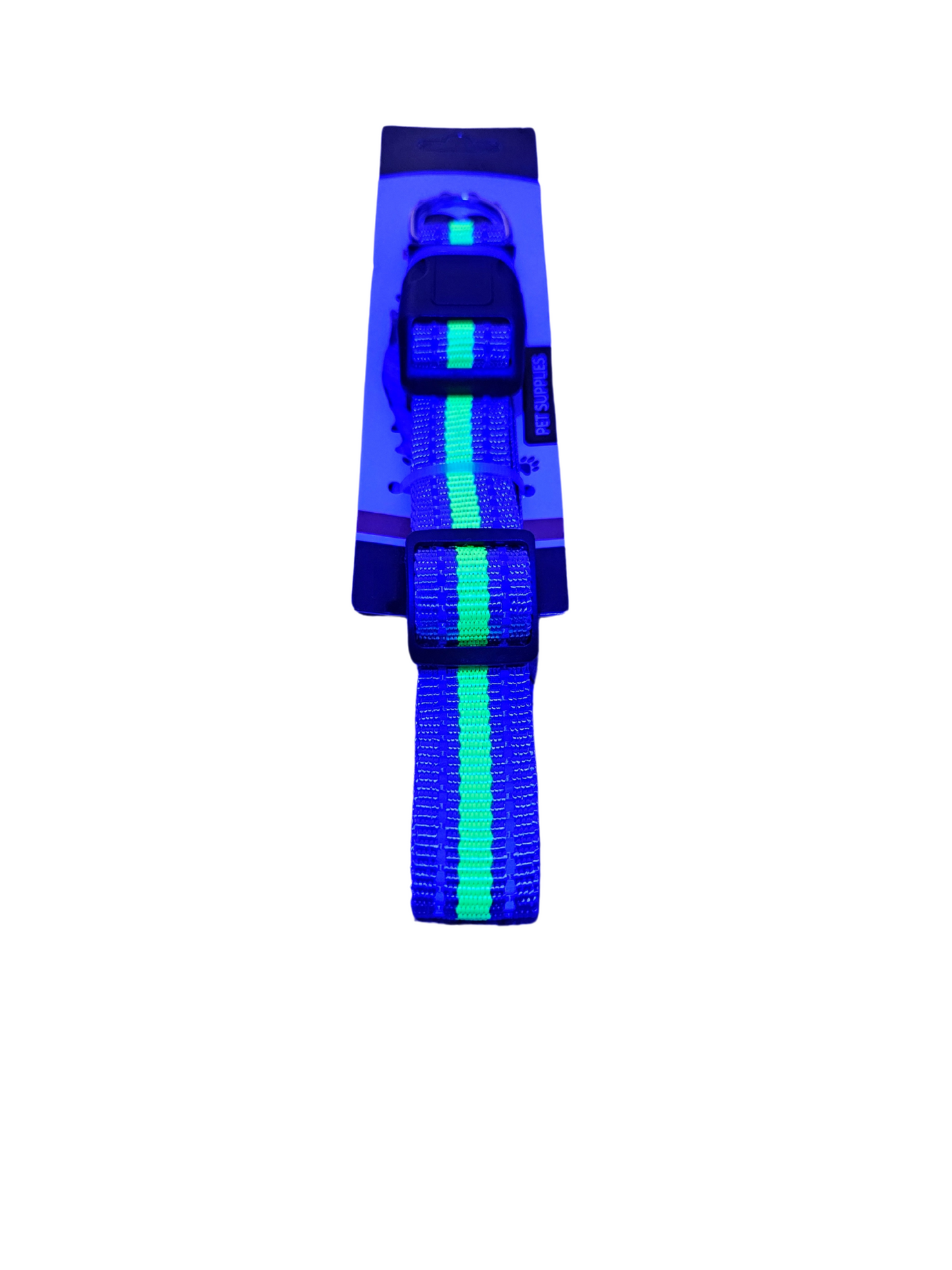 Neon Hundehalsband & Katzenhalsband – Stylisch, Sicher & Verstellbar!