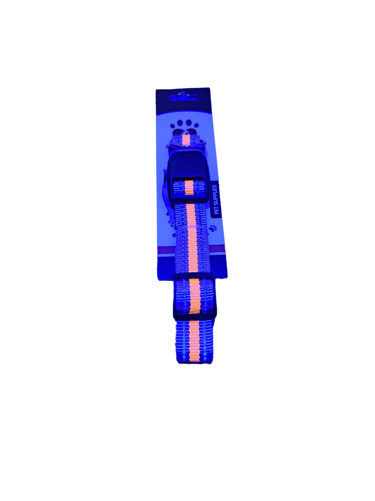 Neon Hundehalsband & Katzenhalsband – Stylisch, Sicher & Verstellbar!