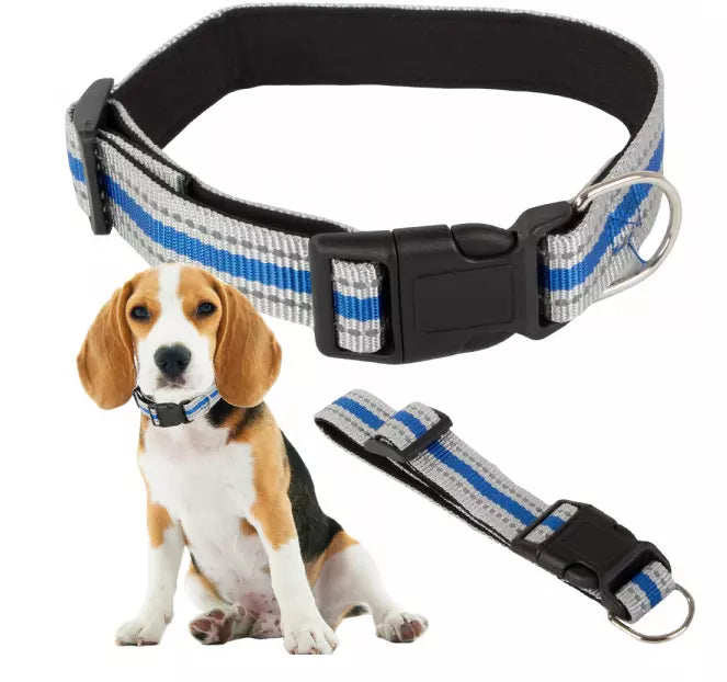 Neon Hundehalsband & Katzenhalsband – Stylisch, Sicher & Verstellbar!