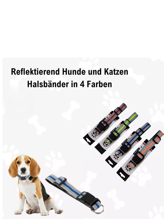 Neon Hundehalsband & Katzenhalsband – Stylisch, Sicher & Verstellbar!