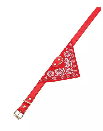 Collar with bandana