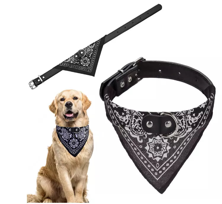 Collar with bandana