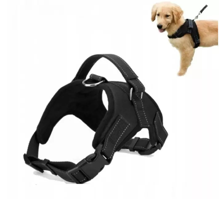 Dog Harness & Cat Harness – Comfortable, Safe & Adjustable