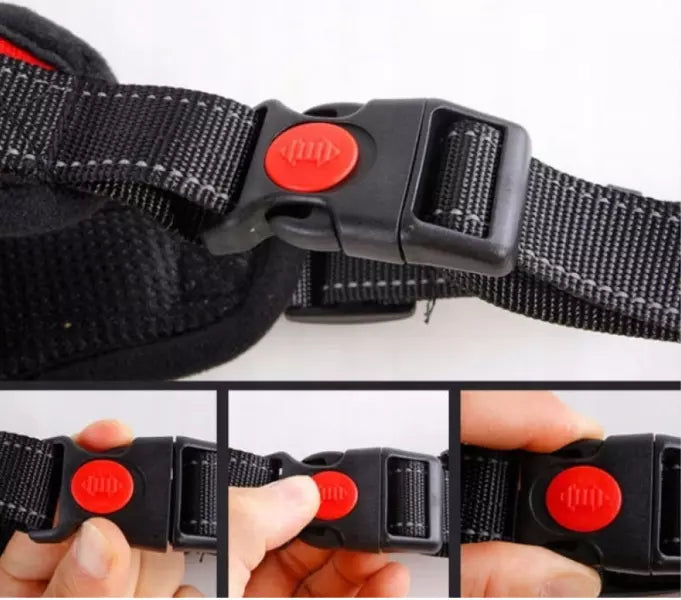 Dog Harness & Cat Harness – Comfortable, Safe & Adjustable
